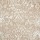 Stanton Carpet: Imagery Shell